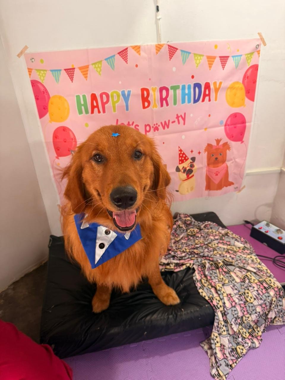 Equipo de rehabilitación